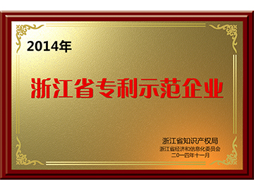 浙江省專利示范企業(yè)